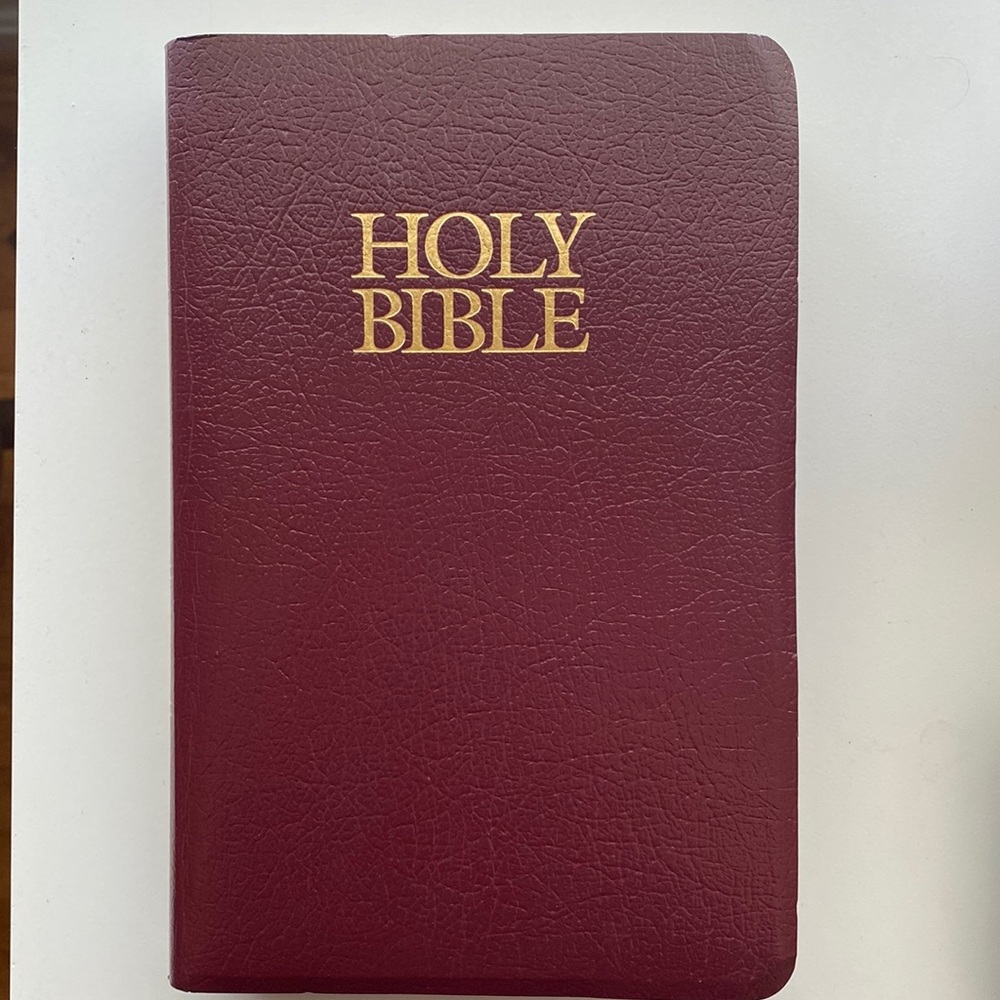 NIV Bible